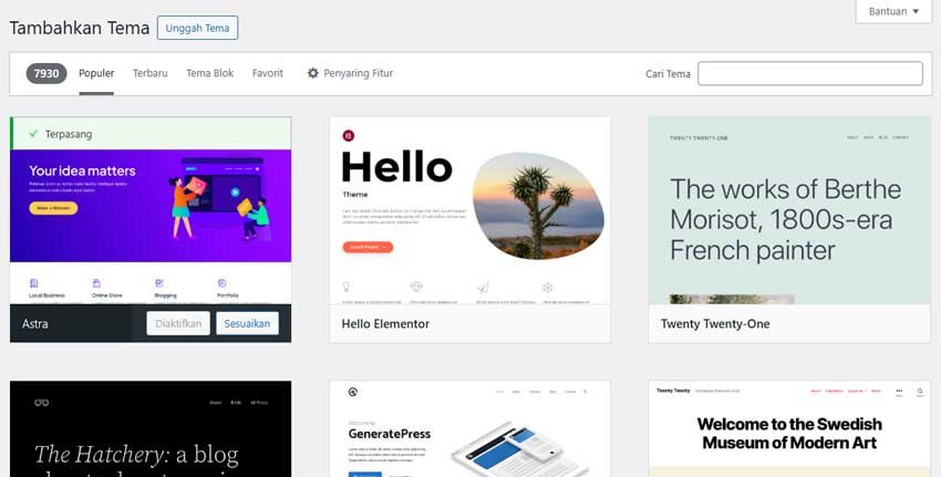 bikin website pilih tema